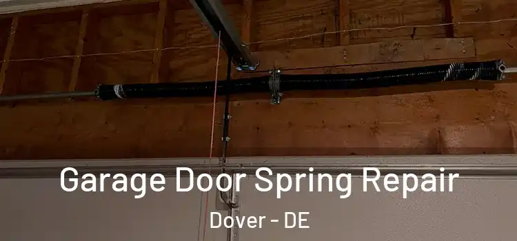  Garage Door Spring Repair Dover - DE
