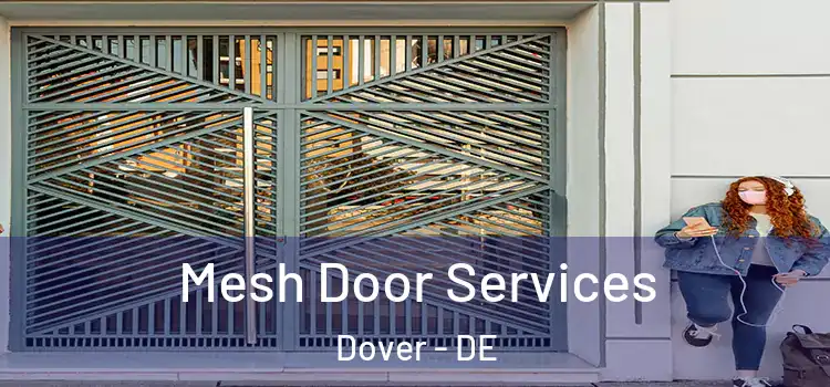 Mesh Door Services Dover - DE